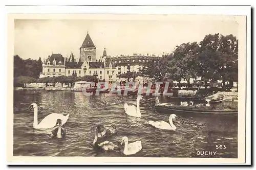 Suisse Cartes postales Ouchy (cygne swan)