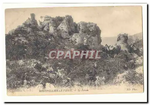 Montpellier le Vieux Cartes postales Le forum