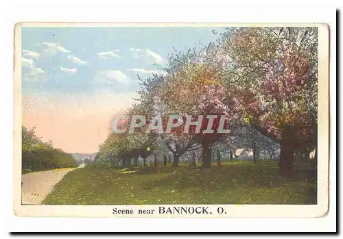 Canada Cartes postales Scene near Bannock