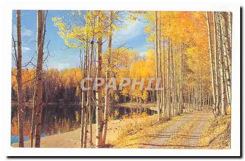 Canada Cartes postales Greetings from Kirkland Lake Ontario