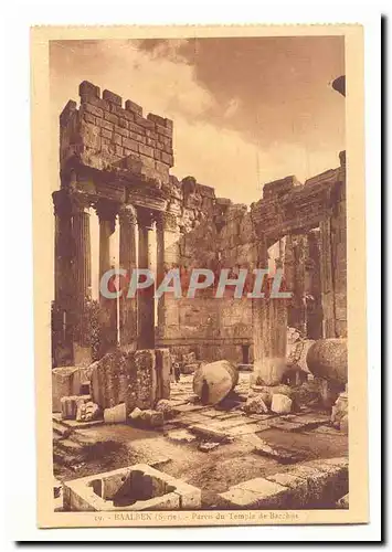 Syrie Baalbek Ansichtskarte AK Parvis du temple de Bacchus