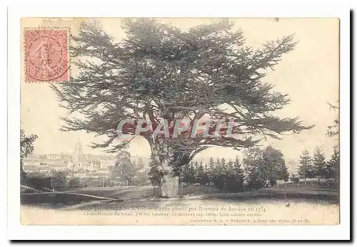 Montigny Lencoup Cartes postales Cedre plante par Barnard de Jussieu en 1734