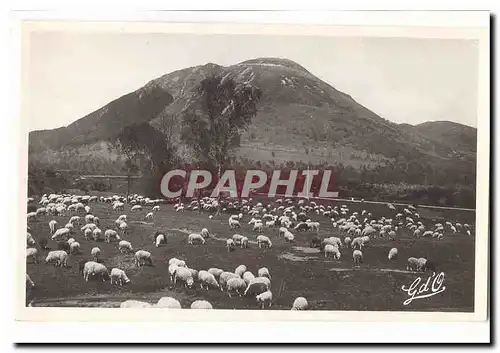 L�auvergne Cartes postales moderne Le Puy de Dome (1465m d�altitude) (moutons)