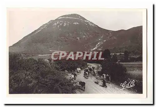 L�auvergne Cartes postales moderne Le Puy de Dome (1465m d�altitude) (vaches)