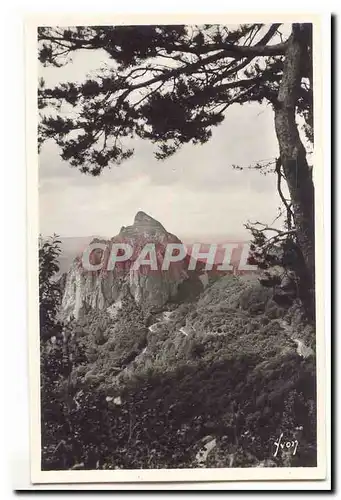 Environs du Mont Dore Ansichtskarte AK La roche Tuiliere (1296m)