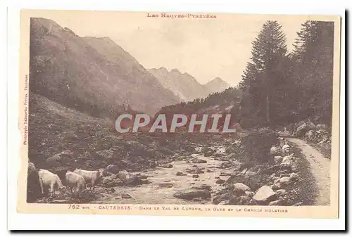 CAuterets Cartes postales Dans le val de Lutour le Gave et le chemin Muletier