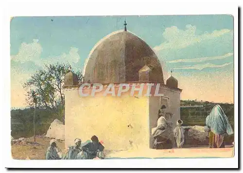 Algerie Cartes postales Mosquee