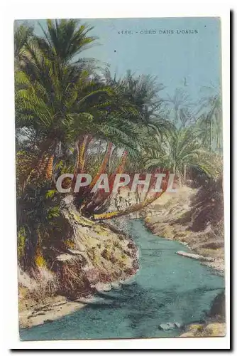 Algerie Cartes postales Oued dans l�oasis