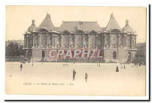 Lille Cartes postales Le palais des Beaux arts