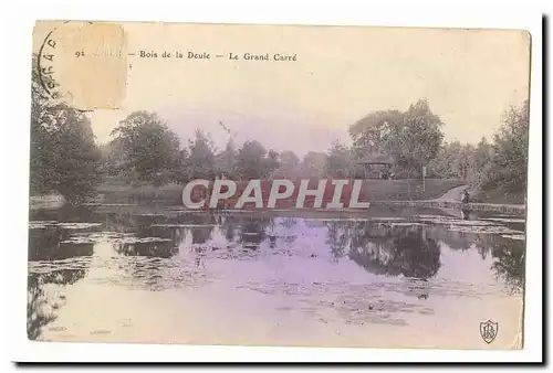 Lille Cartes postales Bois de la Deule LE grand carre