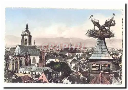 Colmar Cartes postales moderne Nid de cigognes