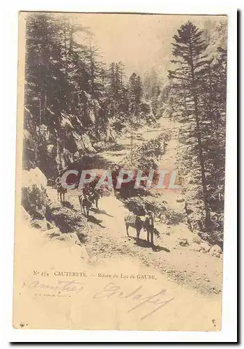 CAuterets Cartes postales Route du Lac de Gaube (ane donkey mule)