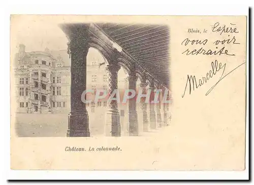 Blois Cartes postales Chateau La colonnade