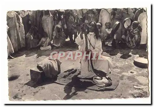 Maroc Cartes postales Charmeur de serpents