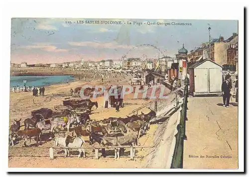 Les Sables d�Olonne Cartes postales La plage Quai Georges Clemenceau (ane donkey)