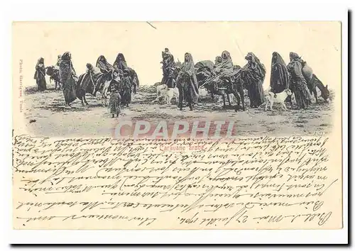 Cartes postales Caravane arabe (ane donkey)