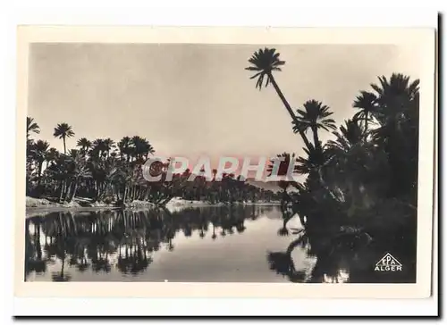 Algerie Cartes postales Colomb Bechar (sud oranais) L'oued