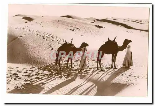 Maroc Ansichtskarte AK Passage des dunes (chameau dromadaire)