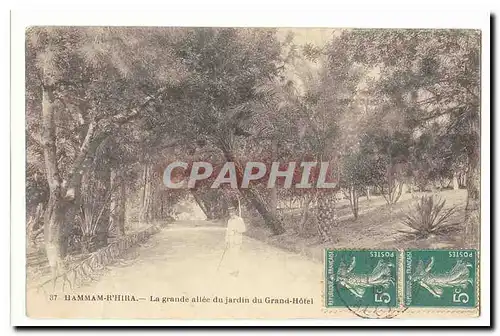 Maroc Hammam r Hira Cartes postalesla grande allee du jardin du Grand Hotel