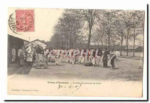 Camp d&#39auvours Cartes postales Corvee de pomme sde terre (militaire armee) TOP