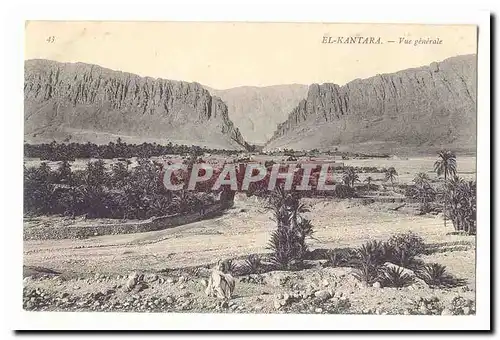 Algerie El Kantara Cartes postales Vue generale