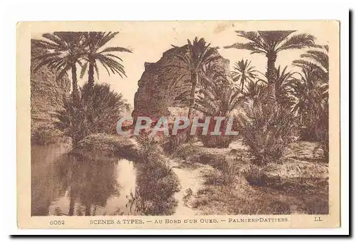 Maroc Cartes postales Au bord d&#39un oued Palmiers dattiers