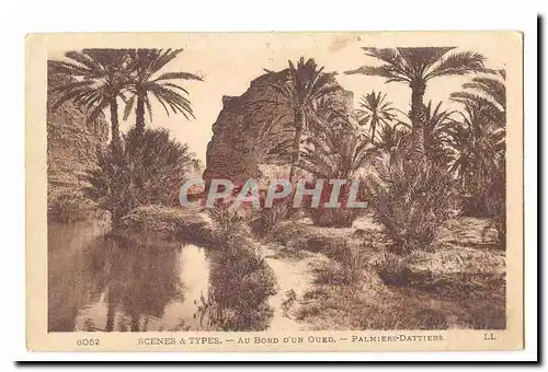 Maroc Cartes postales Au bord d'un oued Palmiers dattiers