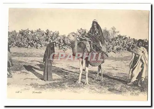 Maroc Cartes postales Nomades (chameau dromadaire)