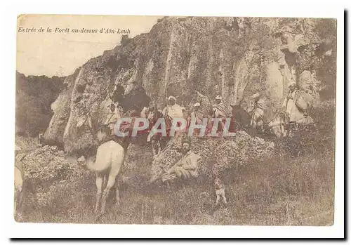 Maroc Cartes postales Entree de la foret au dessus d'Ain Leuh