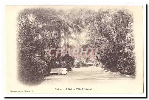 Algerie Biskra Cartes postales Interieur Villa Benevent