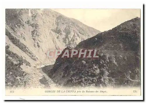 Algerie Gorges de la Chiffa pres du Ruisseau des singes Cartes postales