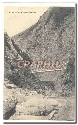 Algerie Blida Cartes postales Gorges de la Chiffa