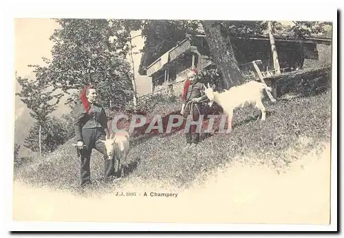 Cartes postales A Champery (chevres goat)