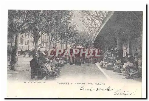 Cannes Cartes postales Marche aux fleurs (reproduction)
