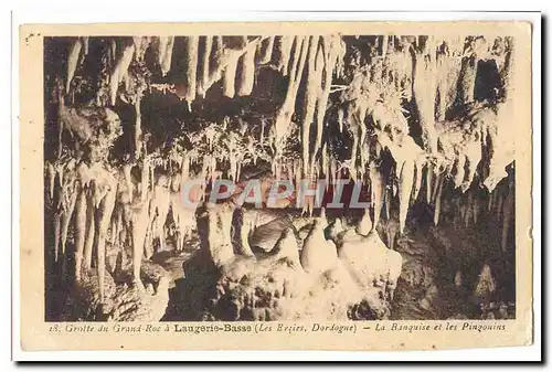Cartes postales Grotte du Grand roc a Laugerie Basse (les Eyzies) La banquise et les pingouins