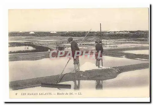 Les marais salants Ansichtskarte AK recolte de sel