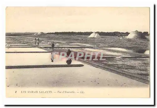 Les marais salants Cartes postales Vue d&#39ensemble