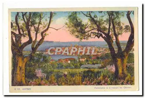 Antibes Cartes postales Panorama vu a travers les oliviers