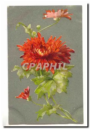 Cartes postales fantaisie Fleurs