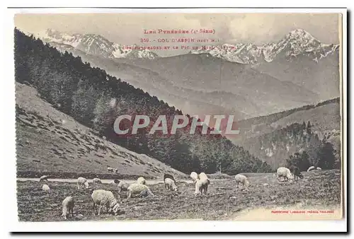 Les Pyrenees Ansichtskarte AK Col d&#39Aspin Les paturages et le pic du Midi (moutons)