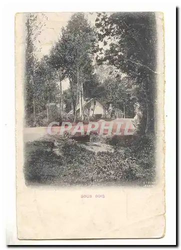 Cartes postales Sous bois