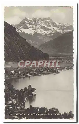 Lac Leman Moderne Karte Chateau de Chillon et Dents du midi