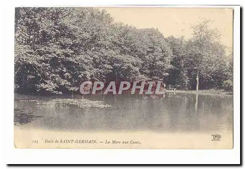 Foret de Saint Germain Ansichtskarte AK La mare aux canes