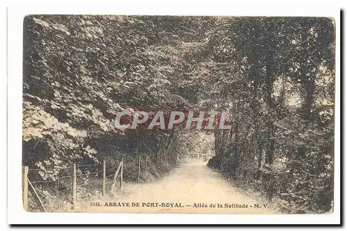 Abbaye de port Royal Ansichtskarte AK Allee de la solitude