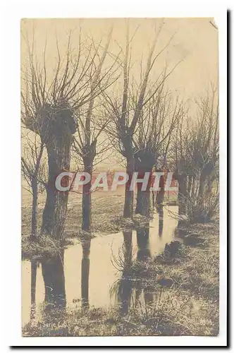 Cartes postales Fantaisie arbres