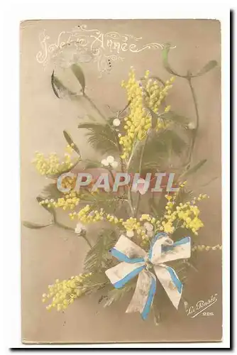 Cartes postales Fantaisie Heureuse annee