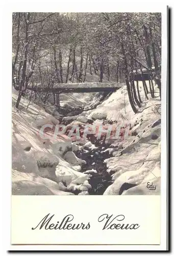 Cartes postales Fantaisie meilleurs voeux