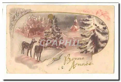 Cartes postales Fantaisie Bonne annee