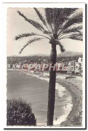 Nice Cartes postales Les plages et la quai des etats unis