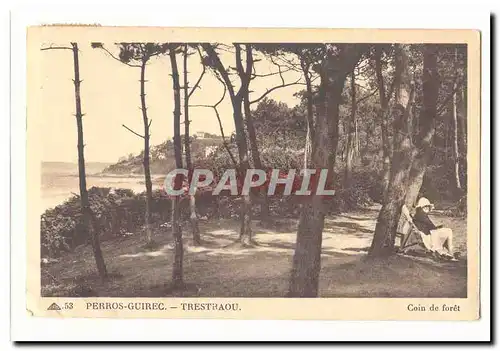 Perros Guirec Cartes postales Trestraou Coin de foret